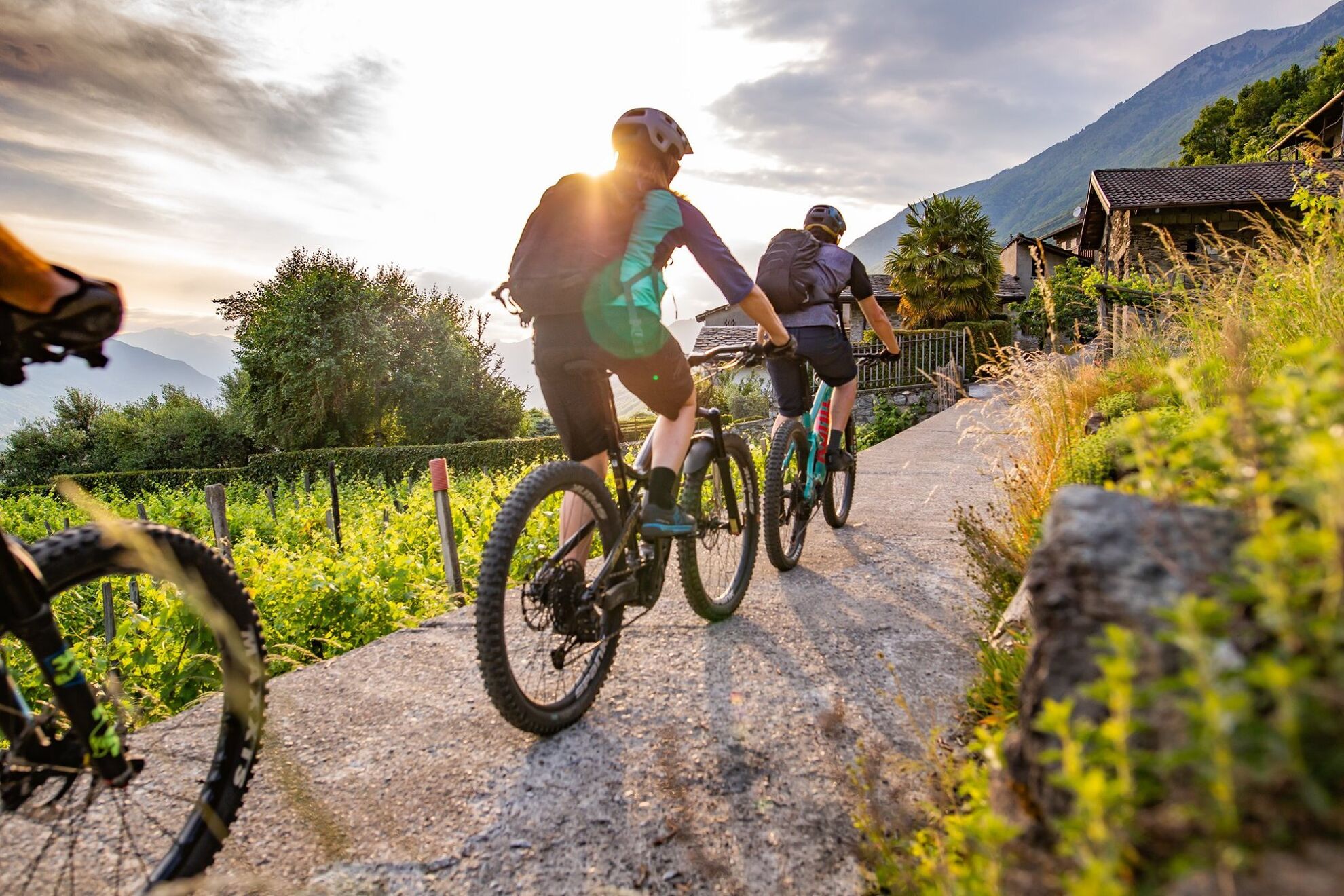 119675896 190653775763591 3054936637131231682 n