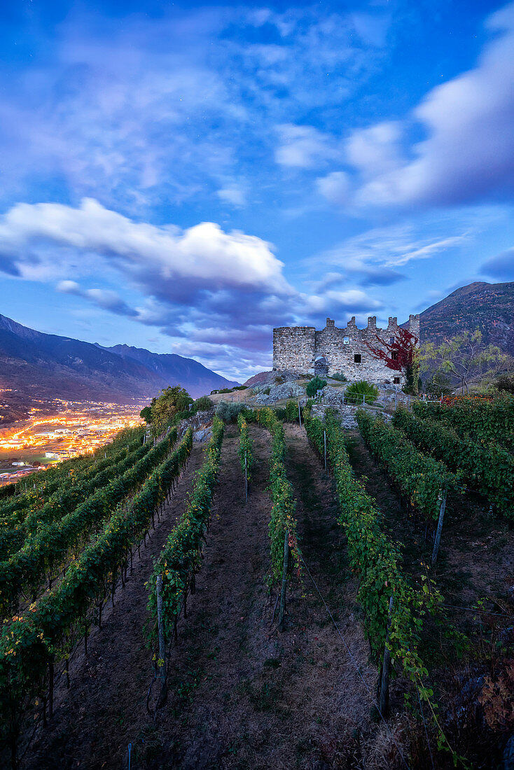 71302526 the fortress of castel grumello surrounded by vineyards montagna in valtellina province of sondrio valtellina