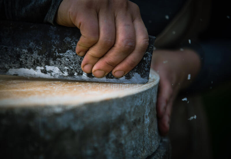 Dalla terra al formaggio