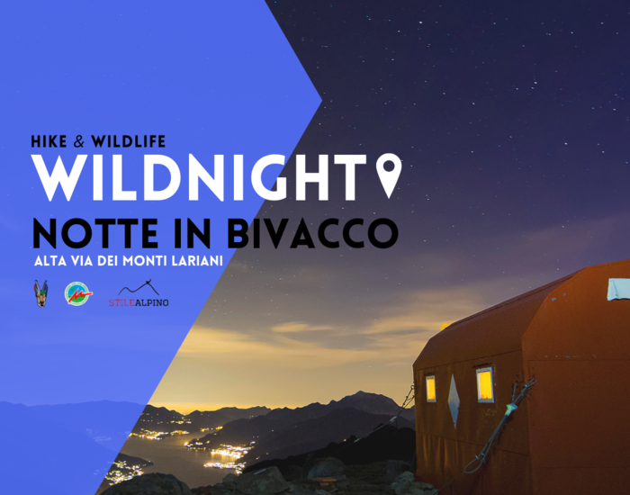 WILDNIGHT - NOTTE IN BIVACCO