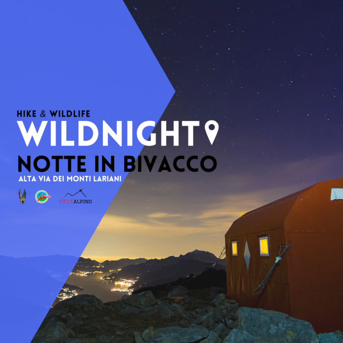 WILDNIGHT - NOTTE IN BIVACCO